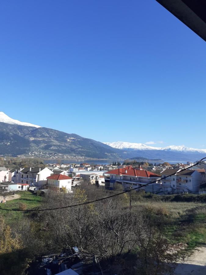 The View Attic Apartment Ioannina Ngoại thất bức ảnh
