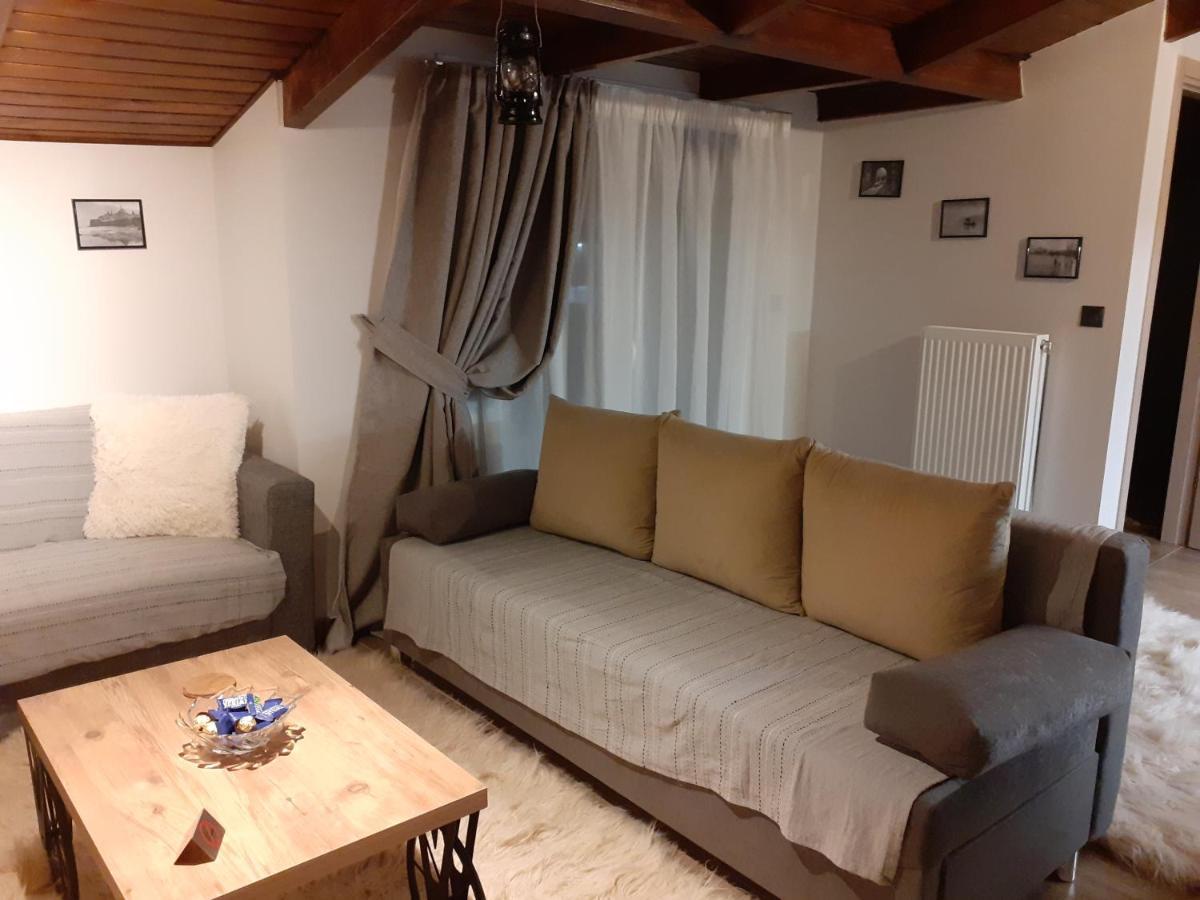 The View Attic Apartment Ioannina Ngoại thất bức ảnh