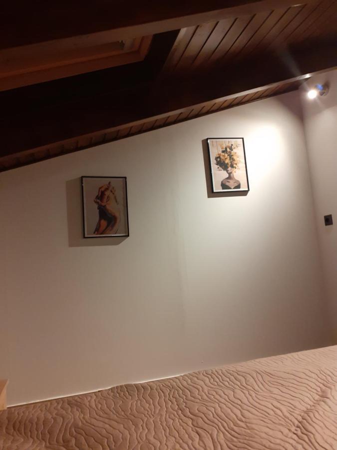The View Attic Apartment Ioannina Ngoại thất bức ảnh