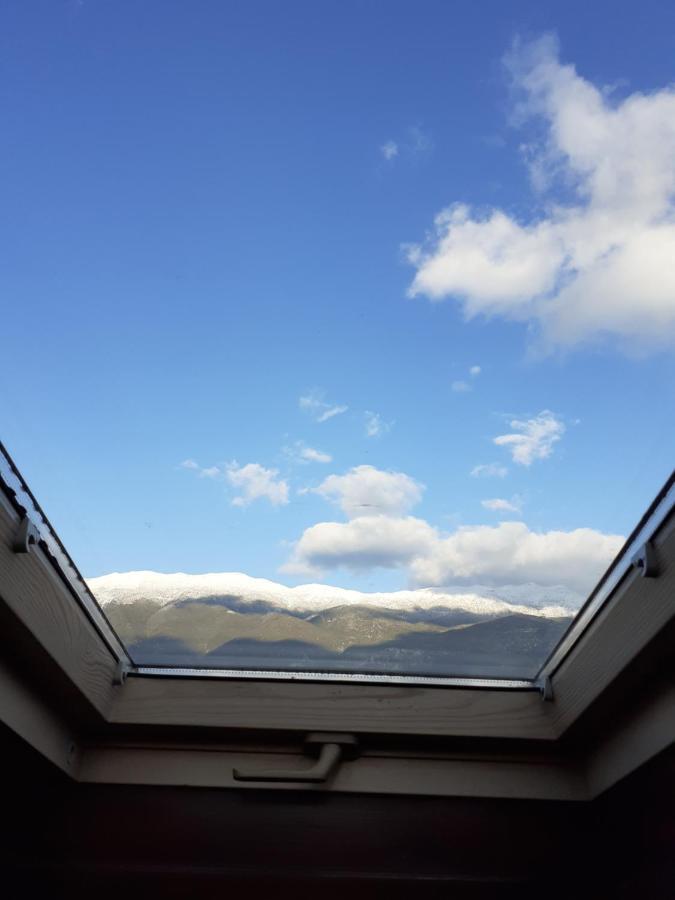 The View Attic Apartment Ioannina Ngoại thất bức ảnh